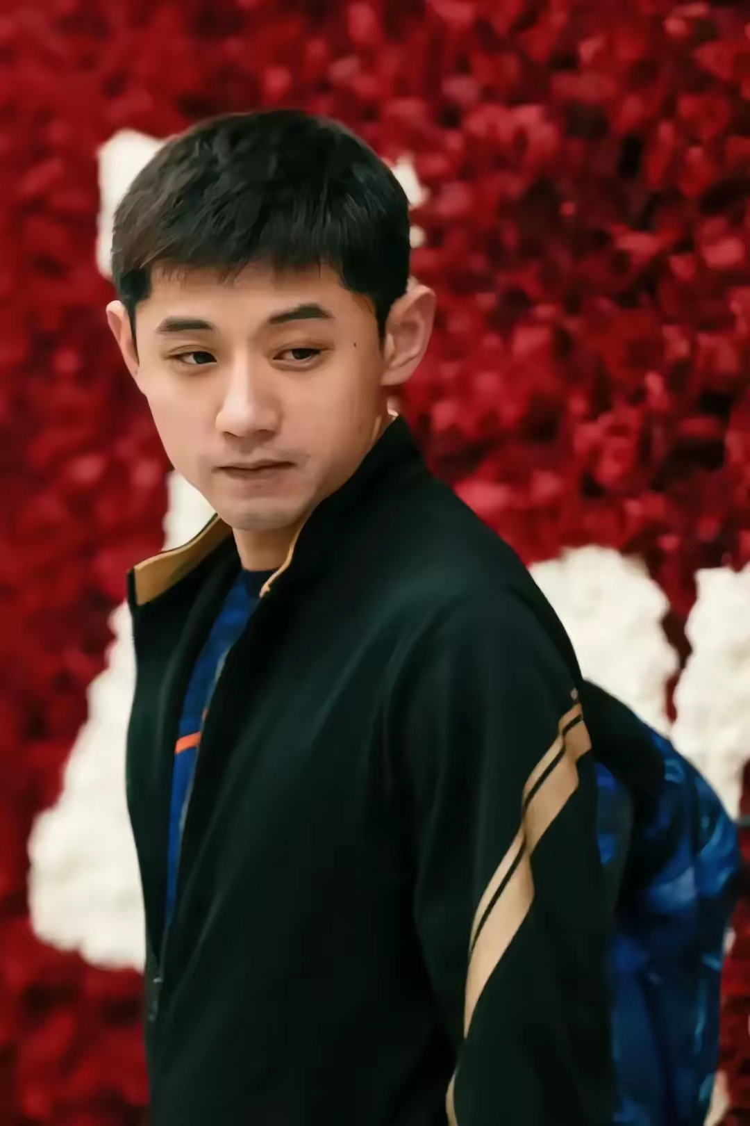 法国队逆转波兰队，张继科惊艳四座