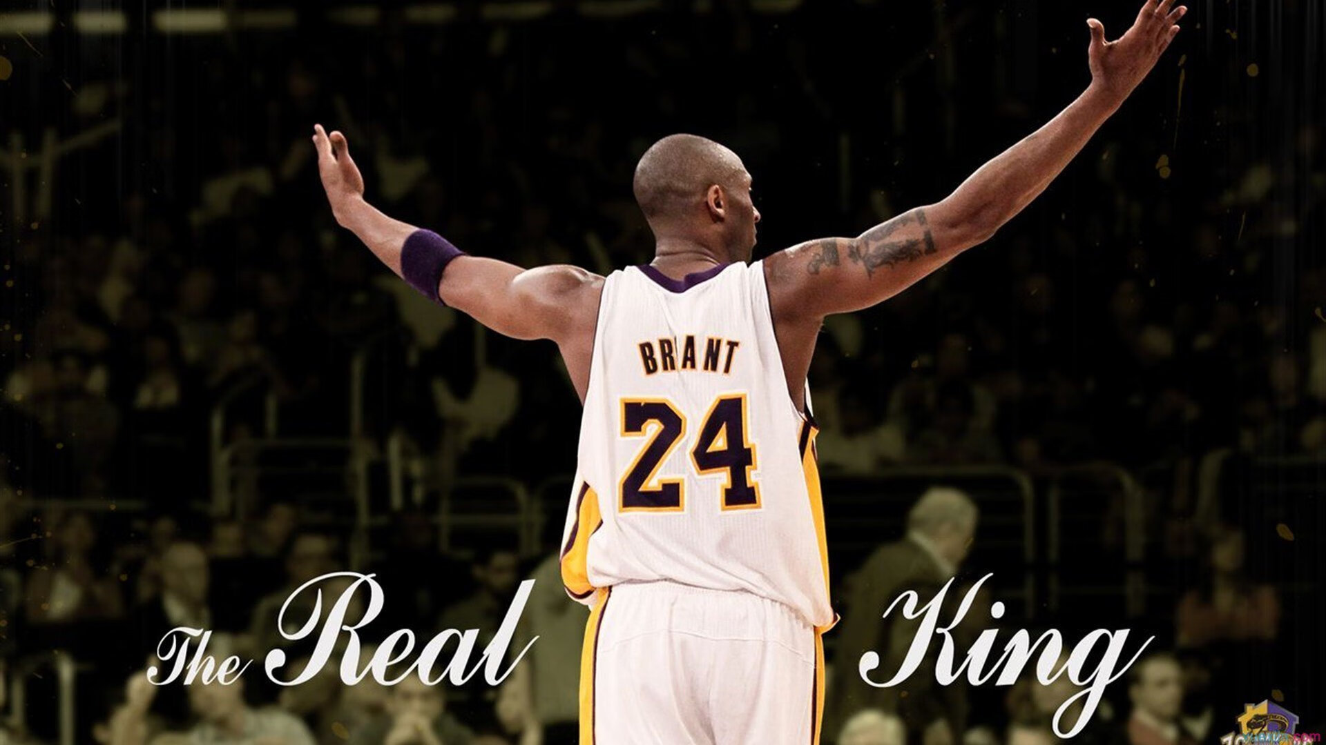 从太原到布鲁克林,西亚卡姆用冠军级表现完成篮球文明的对话